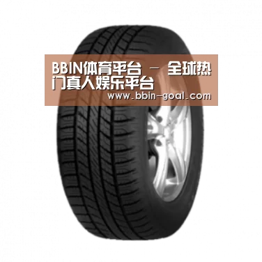 BBIN体育产品名称八