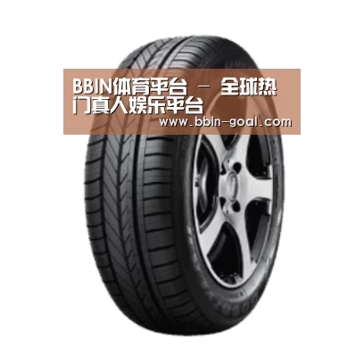 BBIN体育产品名称一