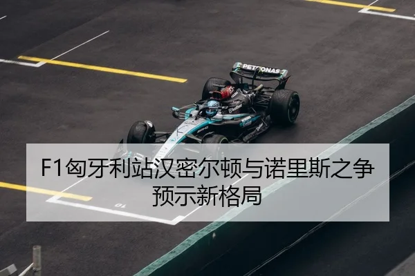 xiong-ya-li-zhan-han-mi-er-dun-yu-nuo-li-si-zhi-zheng-yu-shi-xin-ge-ju-3-706.jpg