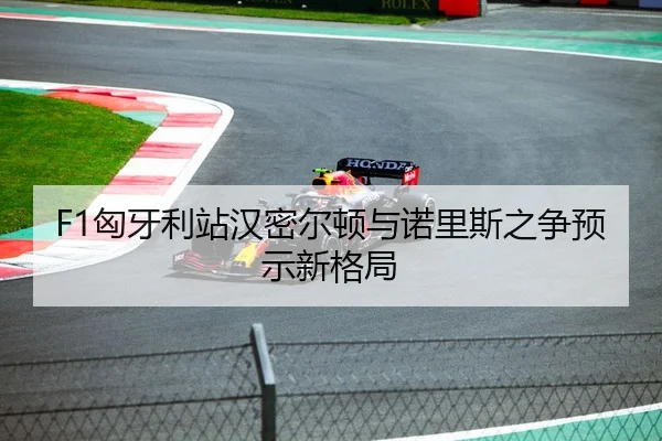 F1匈牙利站汉密尔顿与诺里斯之争预示新格局