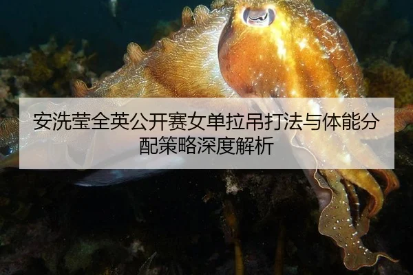 an-xi-ying-quan-ying-gong-kai-sai-nv-dan-la-diao-da-fa-yu-ti-neng-fen-pei-ce-lve-shen-du-jie-xi-3-376.jpg