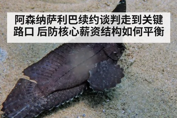 阿森纳萨利巴续约谈判走到关键路口 后防核心薪资结构如何平衡
